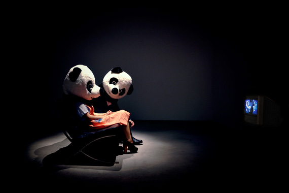 Panda Bears